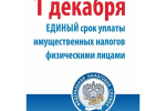 1 декабря - срок уплаты налогов физическими лицами
