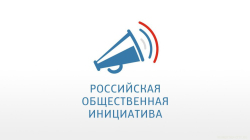 Использование интернет-ресурса Российская общественная инициатива